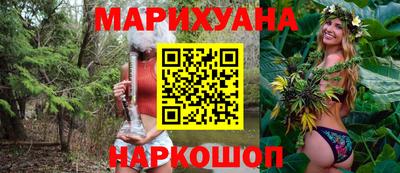 сатива Гай