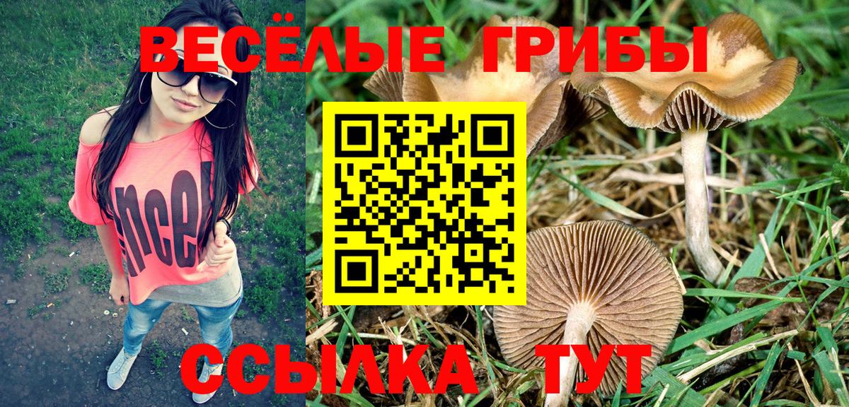 Нарткала  Галлюциногенные грибы ЛСД  Галлюциногенные грибы прущие грибы  Вход с VPN 